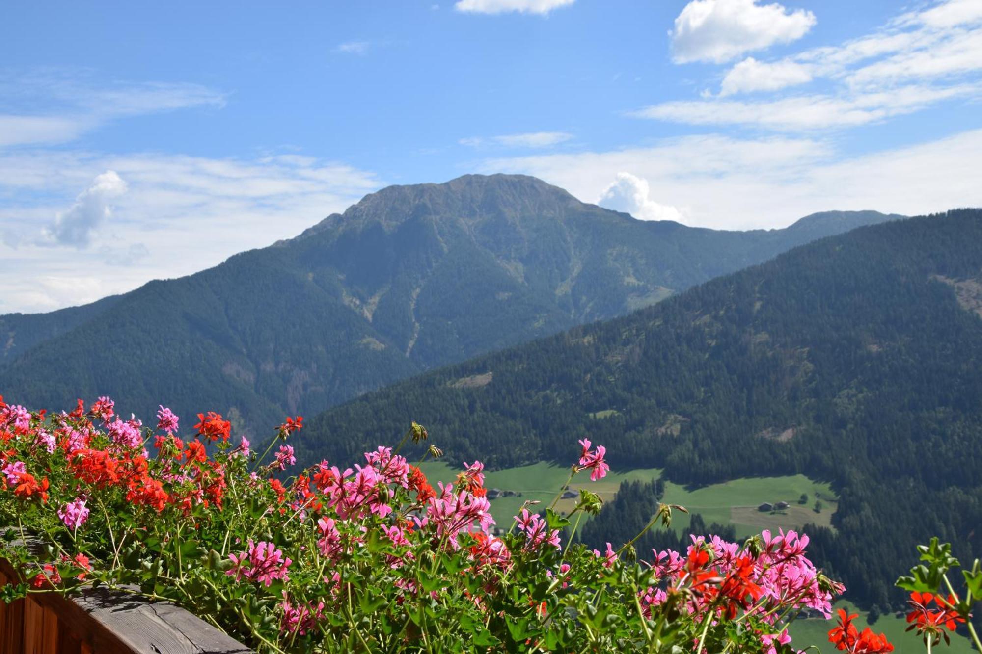 Ortlerhof Im Ultental - Urlaub Auf Dem Bauernhof Exterior foto